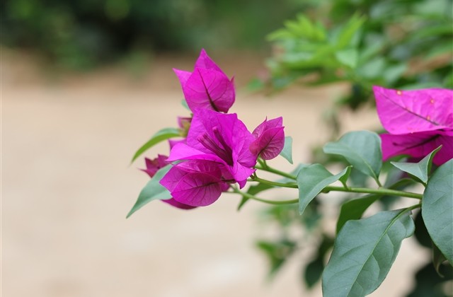 有涵养的男生名字