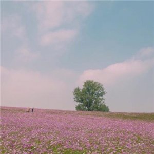 ​给女友留言最感动的话 最感动