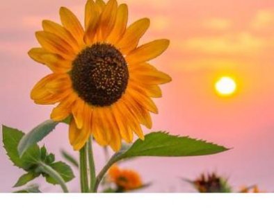 ​可爱的个性签名女孩[50条] (是喜欢一个人的时候一心一意…)