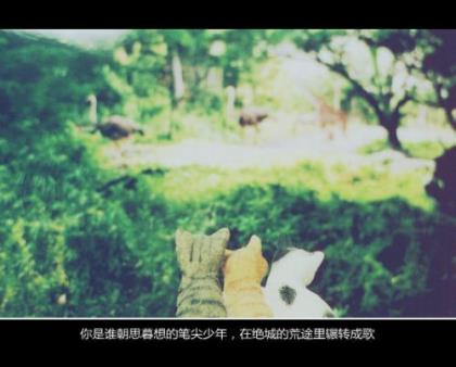 可爱的个性签名女孩