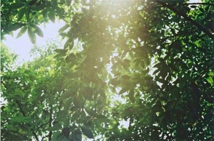 失恋以后的个性签名