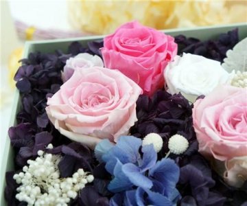 ​睡前朋友圈简短美句 发朋友圈的晚安句子 朋友圈