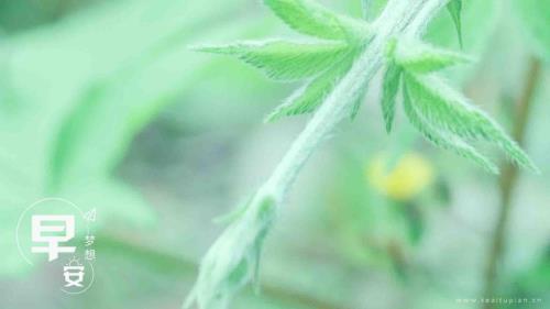 ​周末祝福语大全简短 朋友周末愉快祝福语