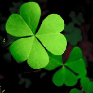 ​幼儿写给老师新年贺卡(幼儿园小班贺卡祝福语)