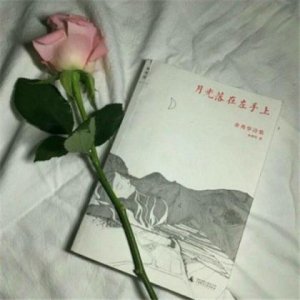 ​小学生写一句赞美父亲的话