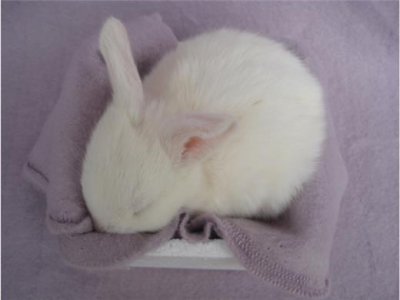 ​二次元悲伤语录大全集 治愈系二次元语录