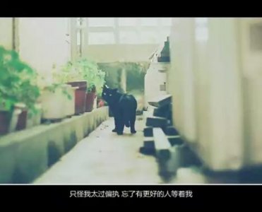 ​优秀医护人员座右铭(医务人员岗位服务语录)