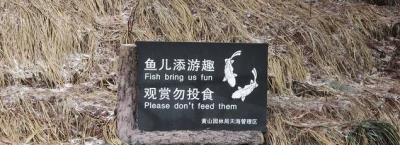 医务人员岗位服务语录