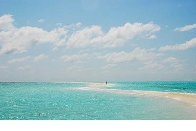 美食歇后语大全及答案