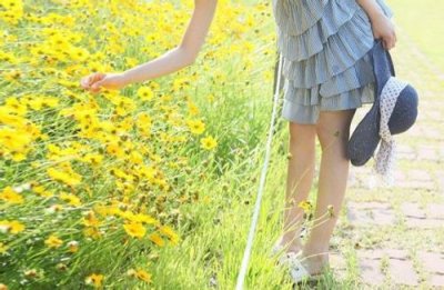 ​反鸡汤语录调侃人生