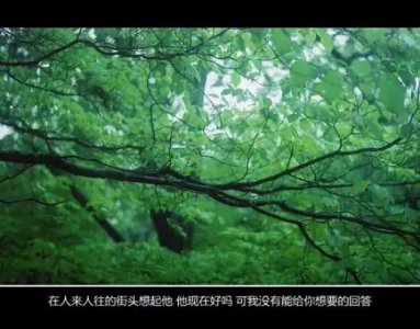 ​十二生肖歇后语大全 关于动物的歇后语有哪些