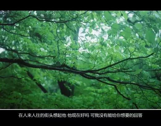 ​十二生肖歇后语大全 关于动物的歇后语有哪些