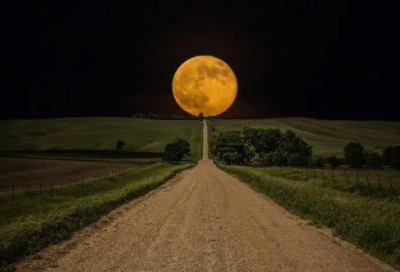 ​兔年祝福语拜年金句 兔年四字祝福语(精选130句)