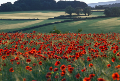 ​恭喜别人恋爱祝福语精选107条