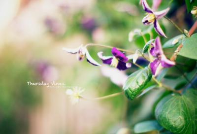 ​小年幽默的祝福语 小年夜的祝福语大全(精选90句)