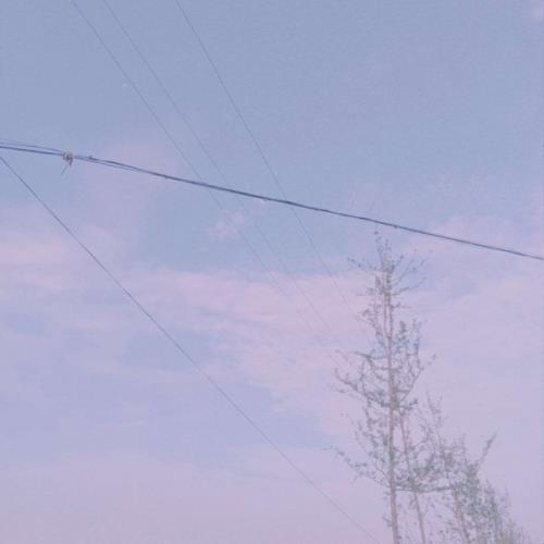 手机短信搞笑信息