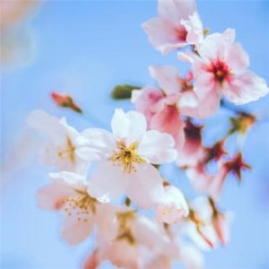 ​qq空间赞说说(而是因为我再也不能相信你了…)