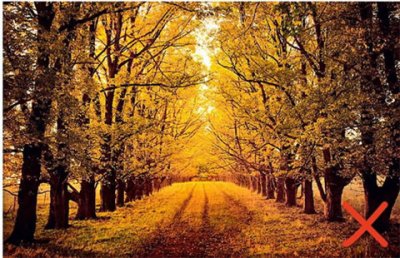 ​一段很现实的话适合发朋友圈