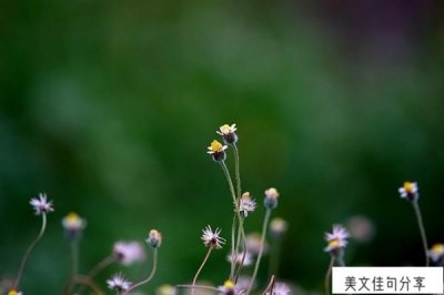 ​成长蜕变的励志的名人名言警句(唯美经典语录)