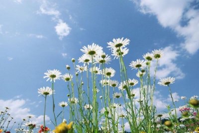 ​关于积极的名言名句(50句激励自己的人生)