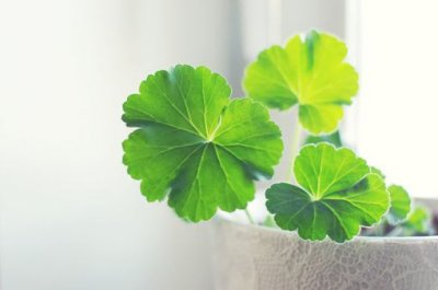 ​关于宽容的名言名句(45句)