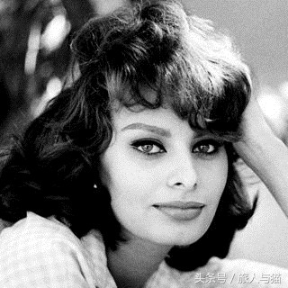 意大利永远的女神—索菲亚罗兰!最后一张照片看着让人心疼……