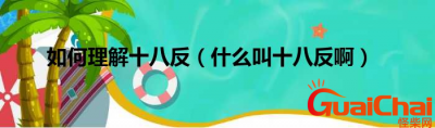 ​十八反是什么意思？怎么理解十八反？
