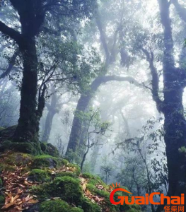 ​哀牢山的由来-叫哀牢山的原因是什么？