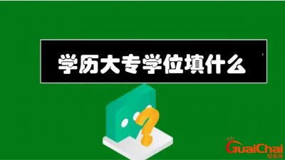 ​学位一般填什么区别？学位填什么？