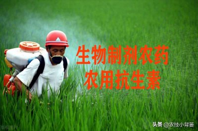 ​农药有哪些种类（生物源农药有哪些种类）