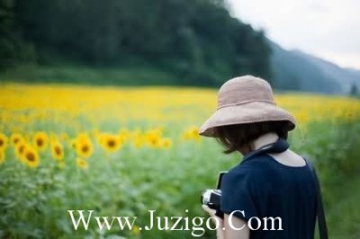 ​元旦节祝福语元旦节经典祝福语(精选75句)