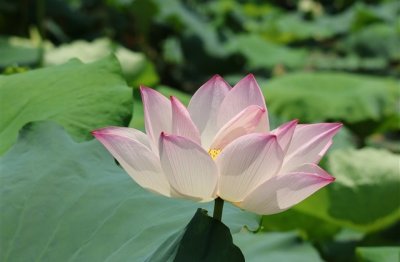 ​非常伤感的QQ情侣网名大全(精选67个)