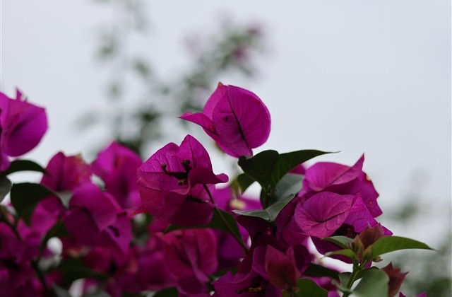 台球厅创意好听的名字 台球厅创意好听的名字