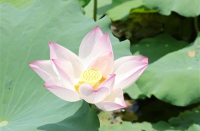 ​简约又好听的男生网名大全(453个)