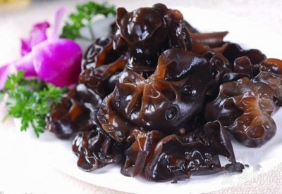 ​黑木耳的功效（补气益智  润肺补脑）