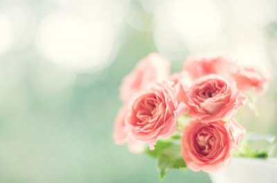 ​杨戬的台词10句