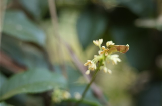 幸福的情侣网名一男一女