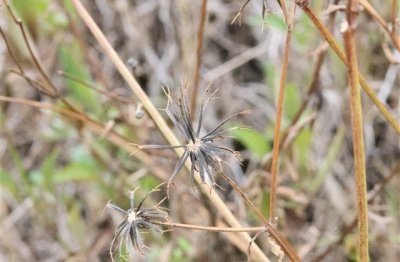 ​超拽游戏非主流网名带符号的(精选75个)