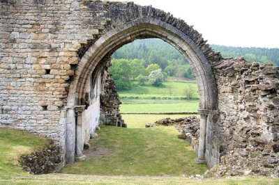 ​常见的关于狼的谚语37句