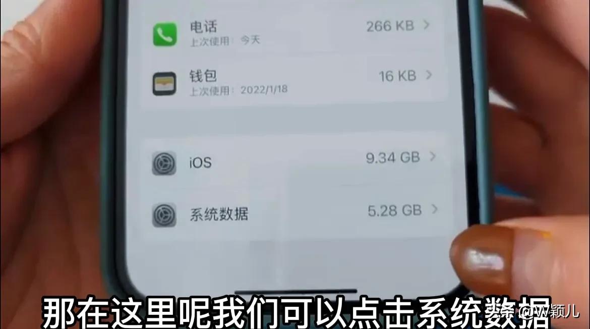 ​苹果手机怎么清理系统数据（苹果手机怎样清理系统垃圾）