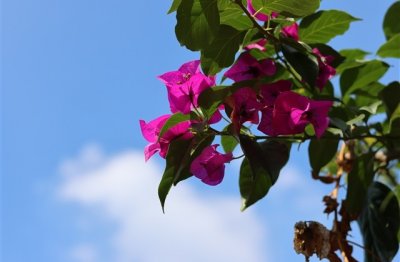 ​昵称简单干净男生霸气