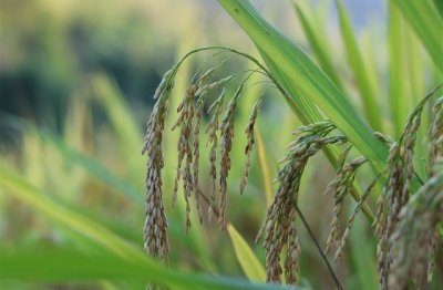 ​霸气伤感的网名大全