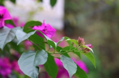 ​最火微信网名涨粉最快 很受欢迎的微信昵称