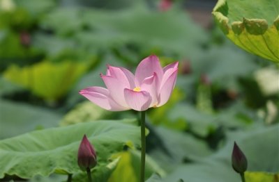 ​活泼一点的网名女生 性格开朗活泼女孩的网名