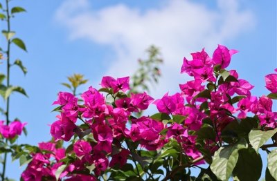 ​与世无争特别温柔的女生网名 超温柔的昵称最新版