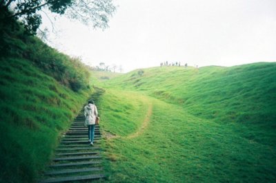 ​花儿开放比喻句15句