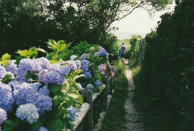 ​圣诞节快乐英文