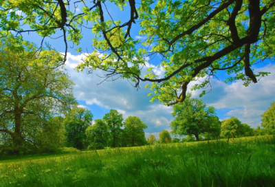 ​除夕祝福语简短2023，2023除夕简短祝福语大全(33句)