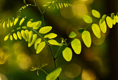 ​儿童祝福语简短独特(经典)