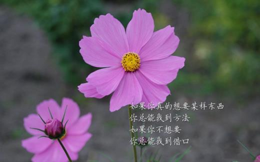 ​关于女生18岁的暖心祝福语（好友18岁生日祝福语）